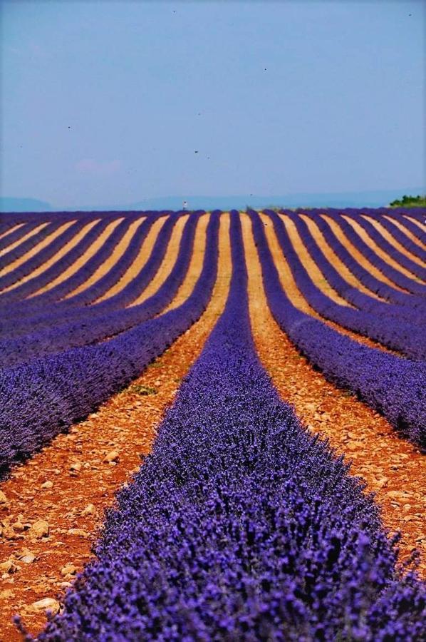 Chambres Entre Ventoux Et Luberon Sault-de-Vaucluse Bagian luar foto