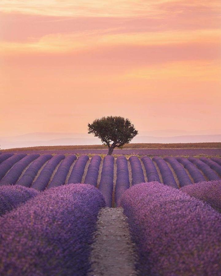 Chambres Entre Ventoux Et Luberon Sault-de-Vaucluse Bagian luar foto