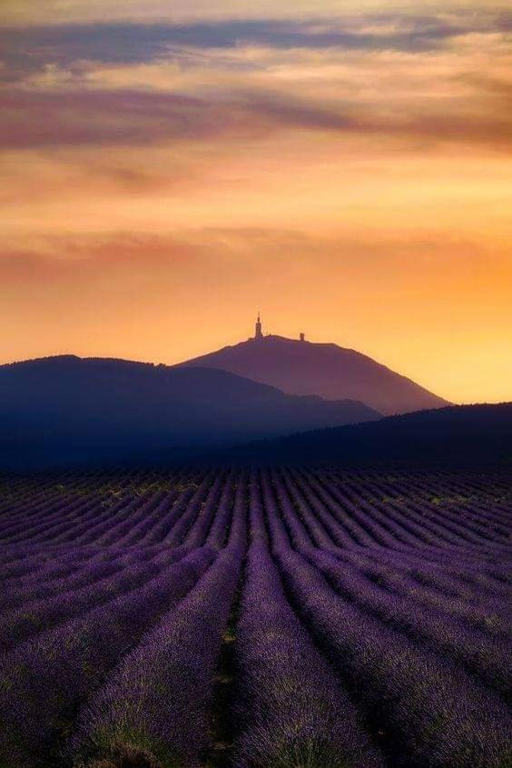 Chambres Entre Ventoux Et Luberon Sault-de-Vaucluse Bagian luar foto